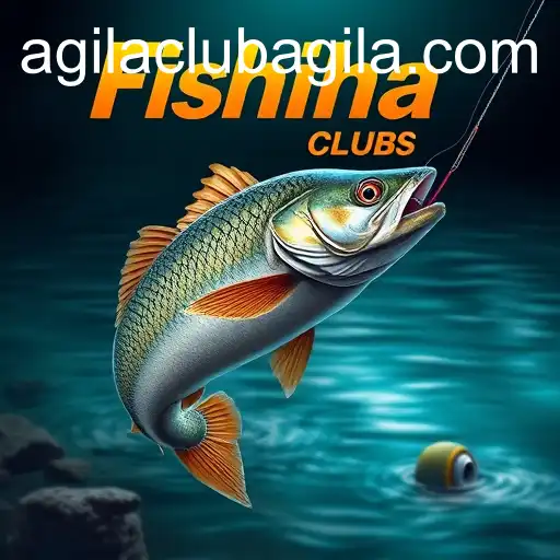 Security and Trust AgilaClub - International Licenses and Certifications