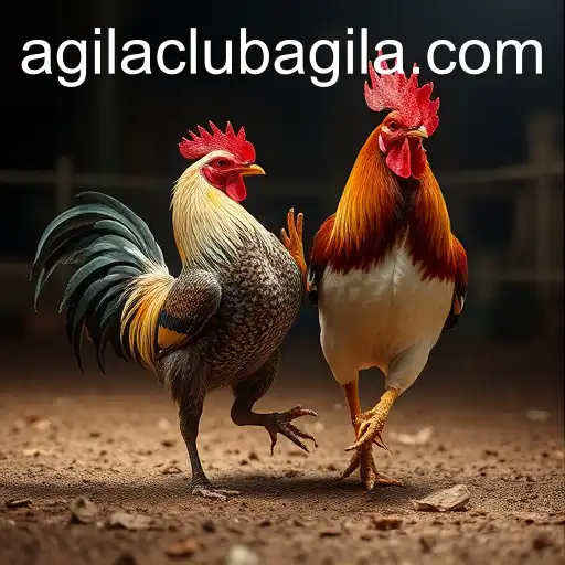 AgilaClub-BONUS6